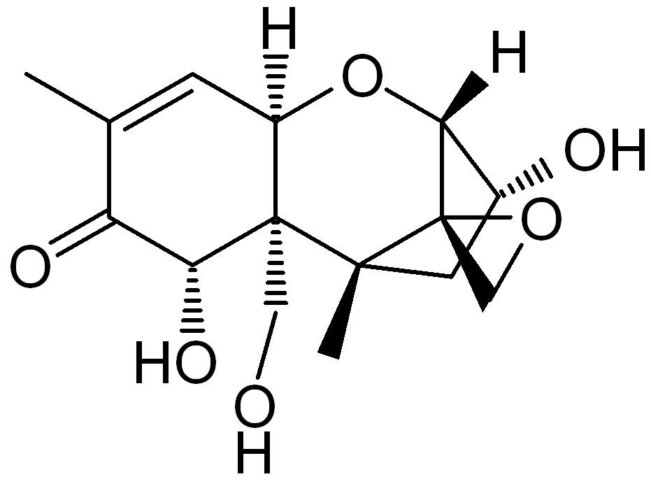 deoxynivalénol