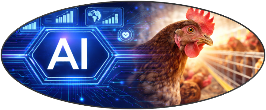 AI Avicole Poulet Poultry Elevage