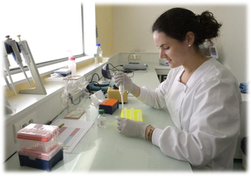 Manipulation Salmonella Laboratoire Paillasse
